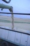 palouse_02Sep2008_0729.jpg