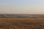 palouse_farmland_03Sep2008_0908.jpg