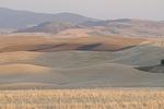 palouse_farmland_03Sep2008_0921.jpg