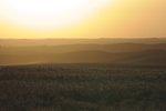 palouse_farmland_03Sep2008_0927.jpg
