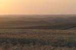 palouse_farmland_03Sep2008_0929.jpg