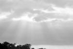 summer 2002 b/w shots