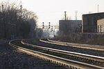 tracks_15March2009_5874.jpg